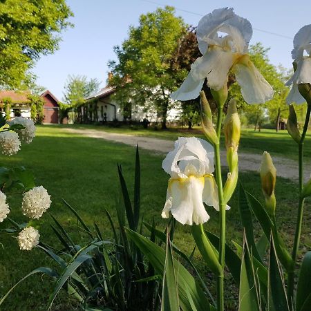 Szeruskert Vendeghaz Pusztaszer别墅 外观 照片