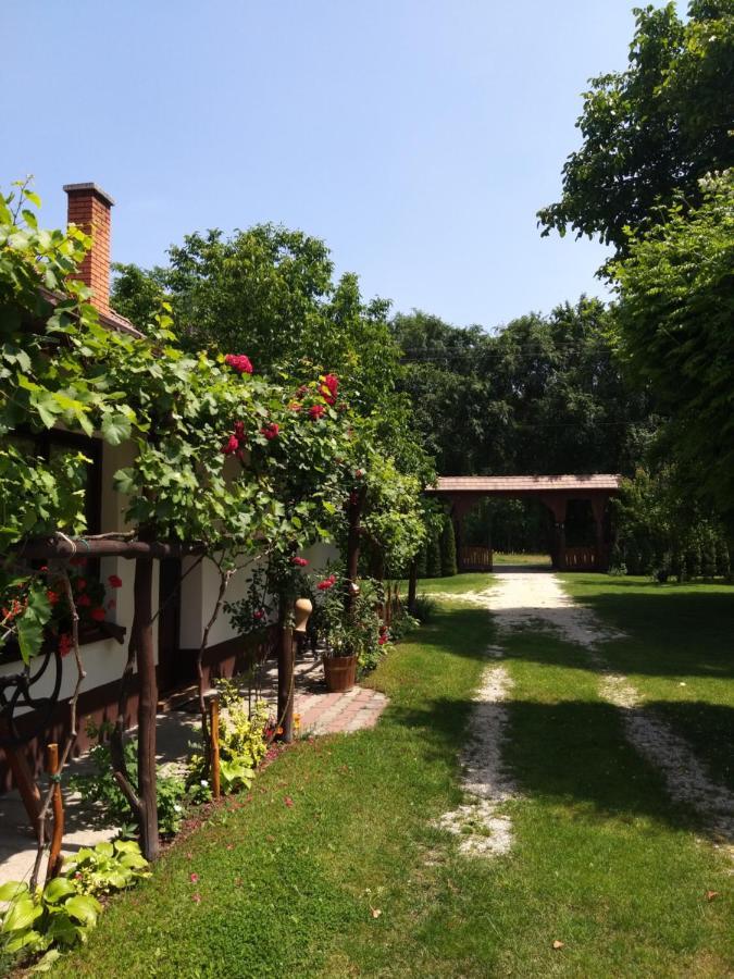 Szeruskert Vendeghaz Pusztaszer别墅 外观 照片
