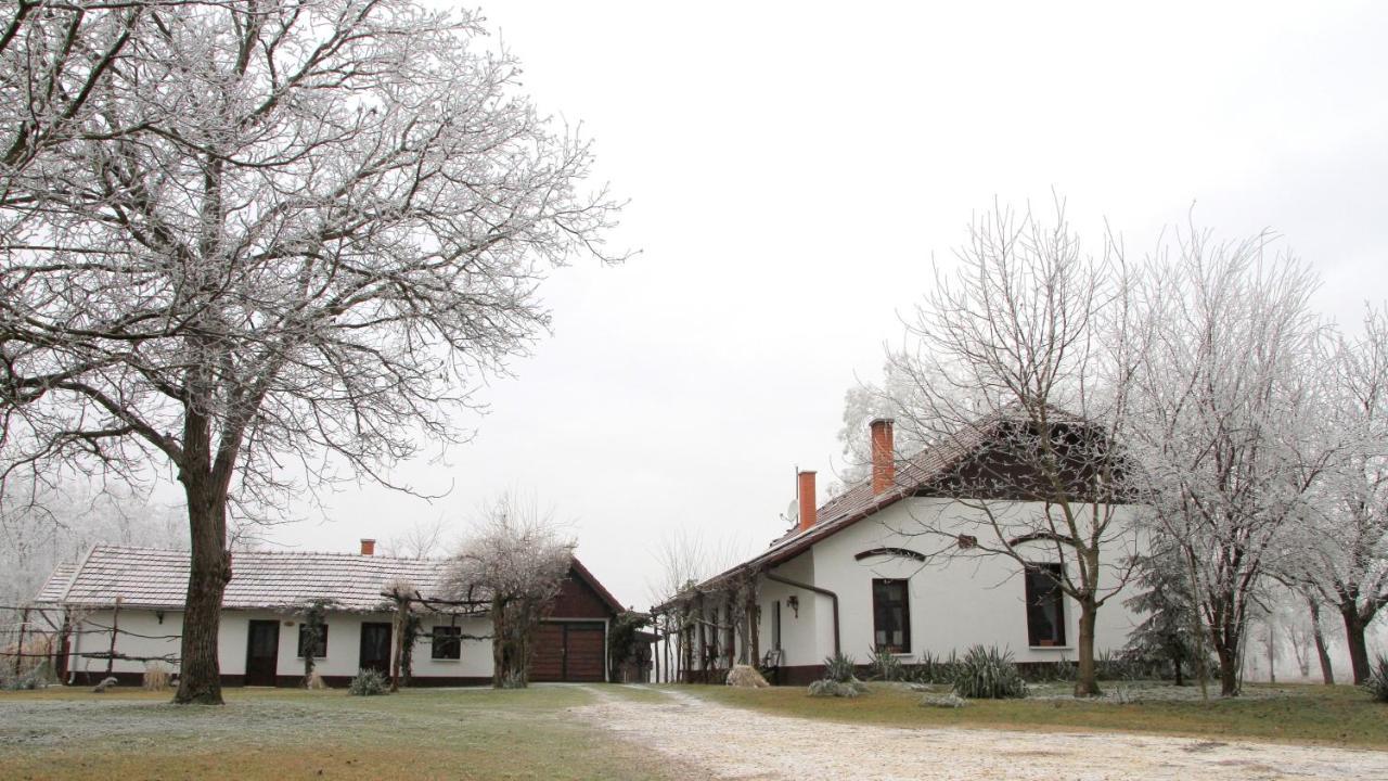 Szeruskert Vendeghaz Pusztaszer别墅 外观 照片